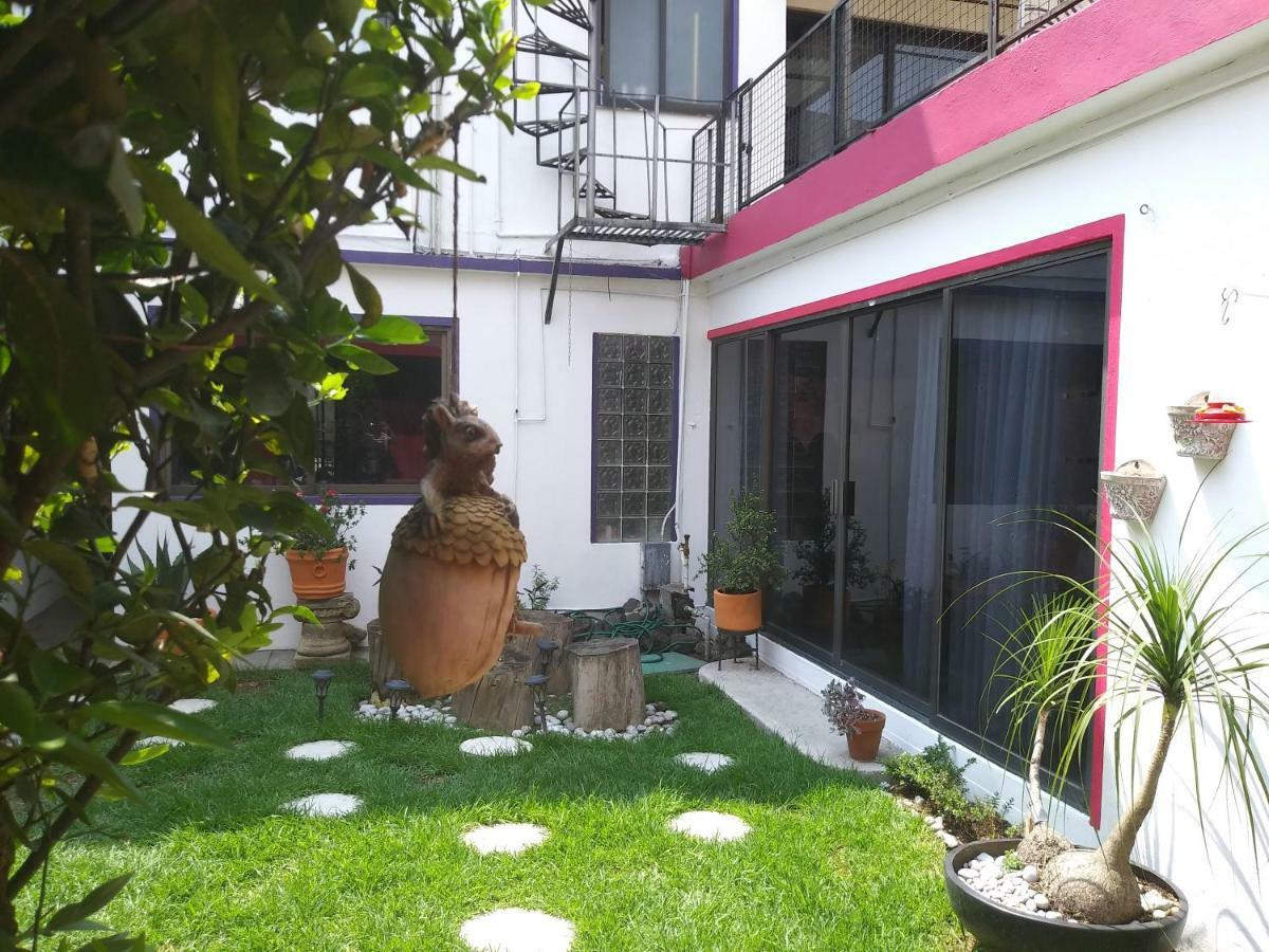 Colibri B&B Mexico Extérieur photo