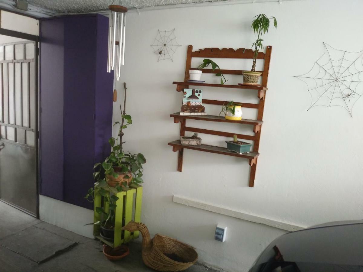 Colibri B&B Mexico Extérieur photo